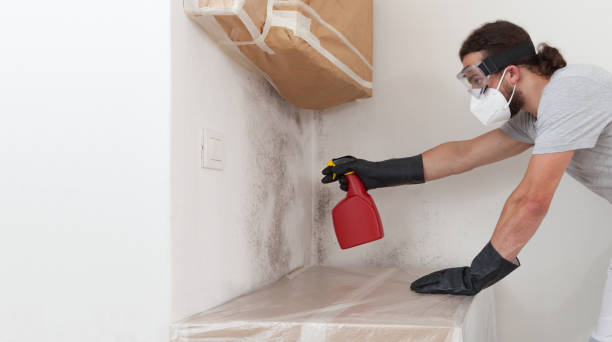 Professional Hvac And Air Duct Mold Remediation technician working in Flanders, NY